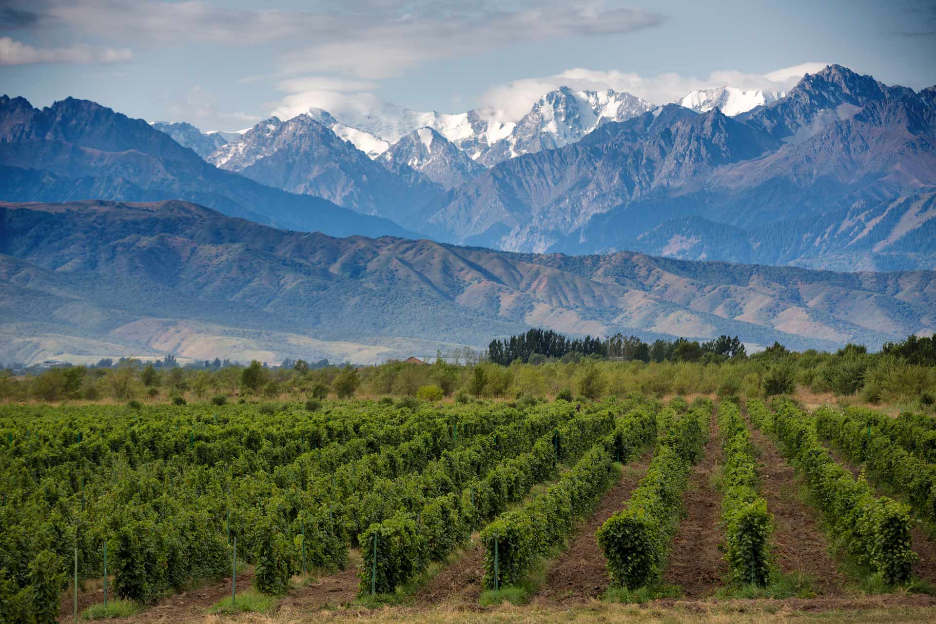 Mendoza ao Seu Alcance