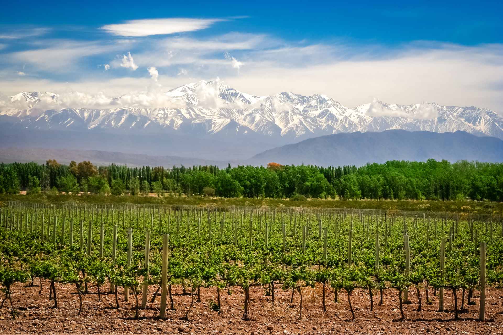Réveillon em Mendoza