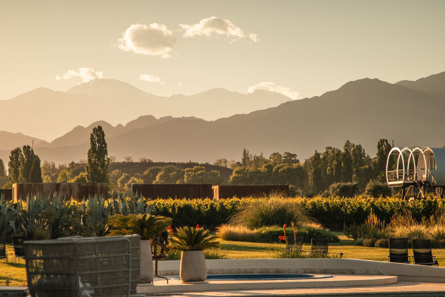 Vinhedo Vale Central - Entre Cielos Wine & Wellness Spa